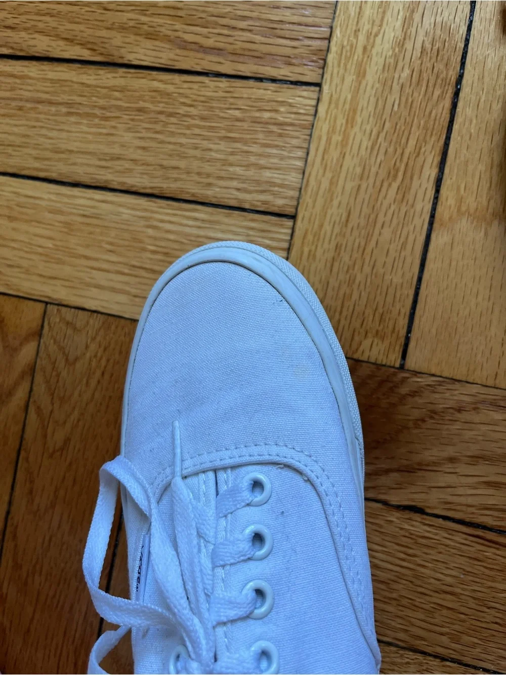 Vans White Authentic Canvas Sneakers